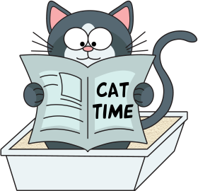 Кот CAT TIME читает газету в лотке