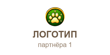 Партнёр 1