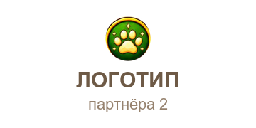 Партнёр 2