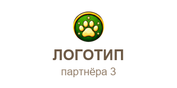 Партнёр 3