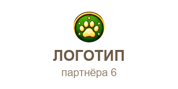 Партнёр 6