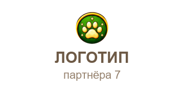 Партнёр 7